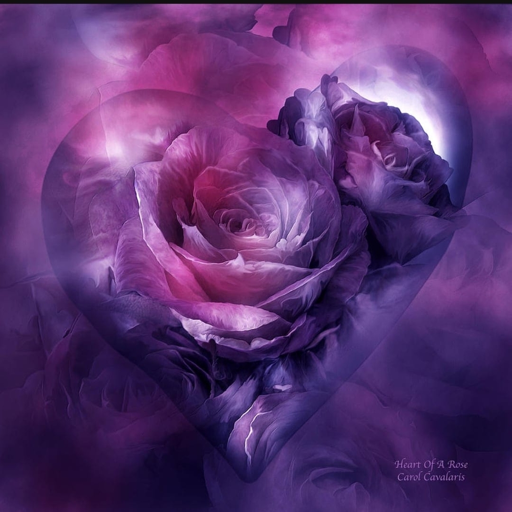 Meet your Posher, Margie